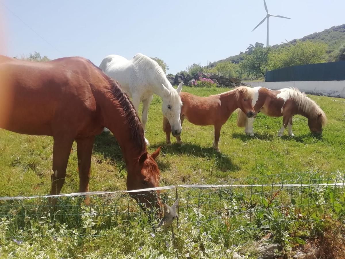 Casinha De Ferias No Campo - Quintinha Dos Cavalos - Arruda Dos Vinhos Sabugos Екстер'єр фото