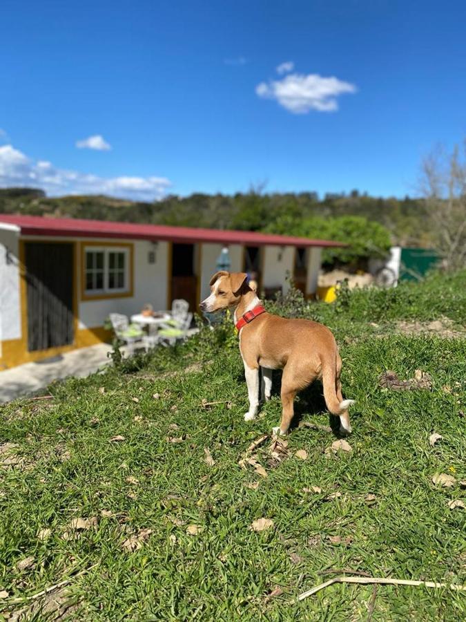 Casinha De Ferias No Campo - Quintinha Dos Cavalos - Arruda Dos Vinhos Sabugos Екстер'єр фото