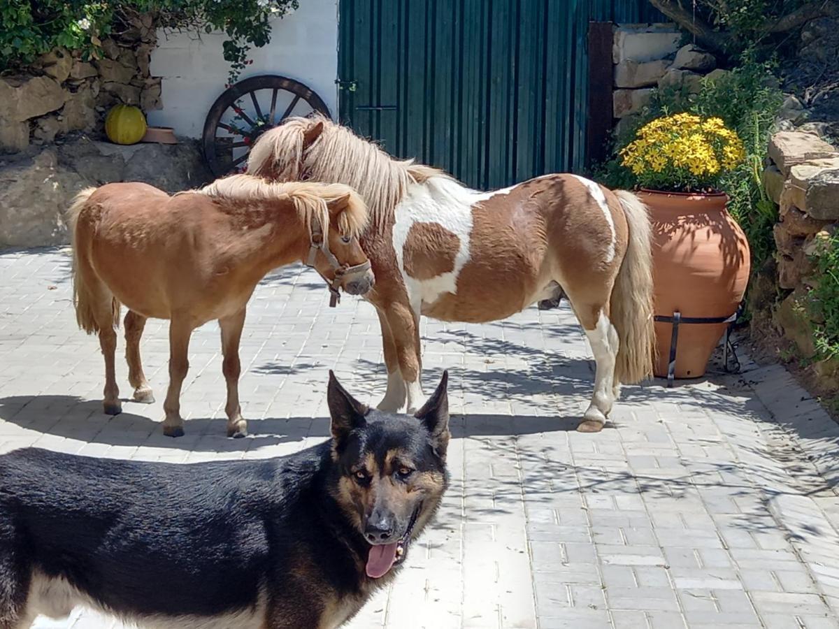 Casinha De Ferias No Campo - Quintinha Dos Cavalos - Arruda Dos Vinhos Sabugos Екстер'єр фото