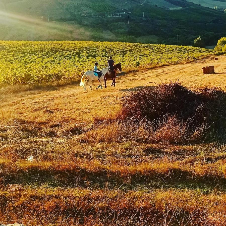 Casinha De Ferias No Campo - Quintinha Dos Cavalos - Arruda Dos Vinhos Sabugos Екстер'єр фото