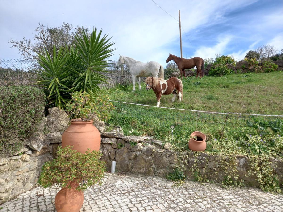 Casinha De Ferias No Campo - Quintinha Dos Cavalos - Arruda Dos Vinhos Sabugos Екстер'єр фото